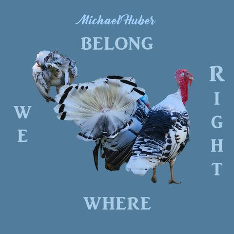 Right where we belong (Radio Edit)