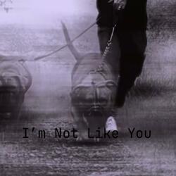 I'm Not Like You