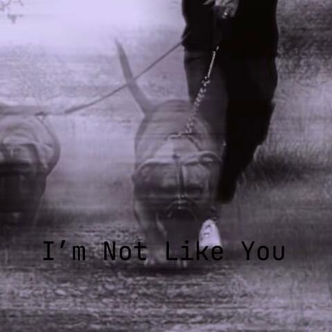 I'm Not Like You
