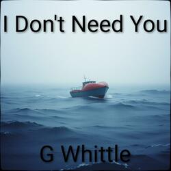 I Dont Need You