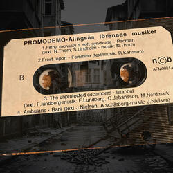 Istanbul (The Unprotected Cucumbers 1998)