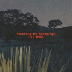 Counting My Blessings