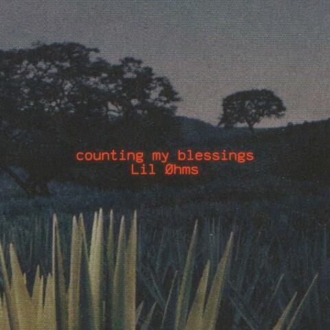 Counting My Blessings