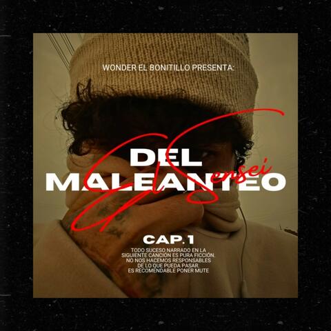 ElSenseiDelMaleanteo