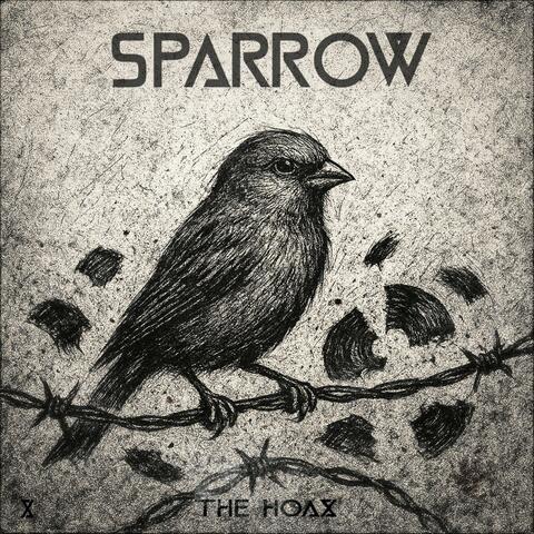 Sparrow