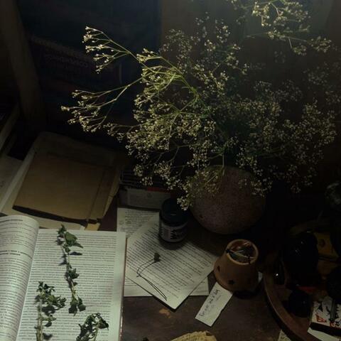 pages from her diary