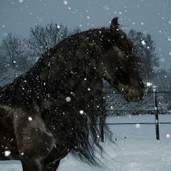 Snow