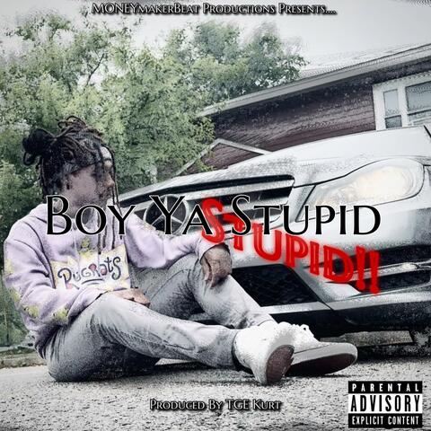 Boy You Stupid (AntiMissileMissile Remix)