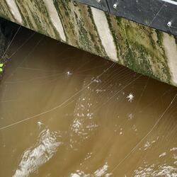 shinigami (feat. Lancellotti & 4yves)