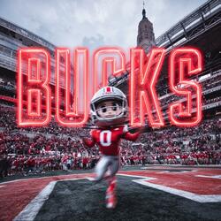 GO BUCKEYES!