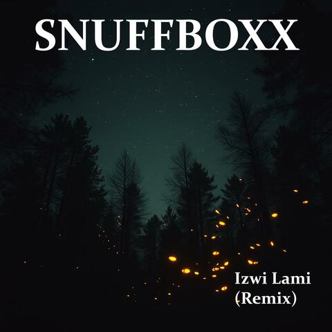 Izwi Lami (Remix)