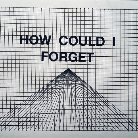 HOW COULD I FORGET