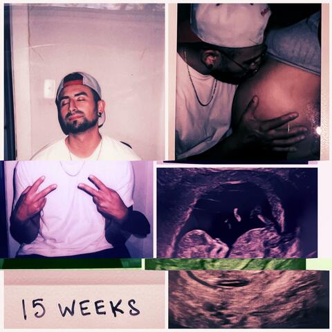 15 Weeks