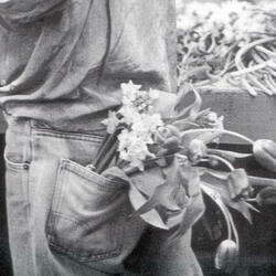 In Her Bullet Wound (Ballad 4 Sphinx)