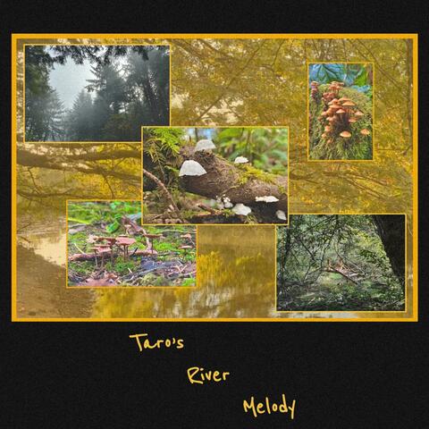 Taro's River Melody