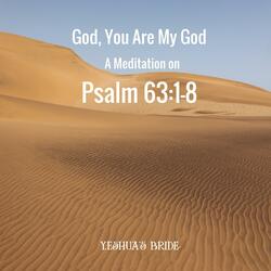 God, You Are My God (A Meditation on Psalm 63:1-8)