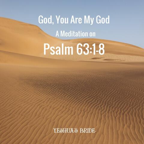 God, You Are My God (A Meditation on Psalm 63:1-8)