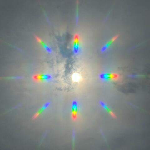 performative acts of self preservation