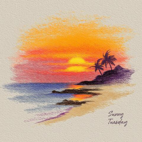 Sunny Tuesday