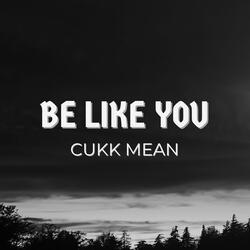 Be like you (Speed up version)