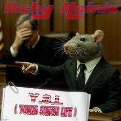 Y.S.L (Young Snitch Life)