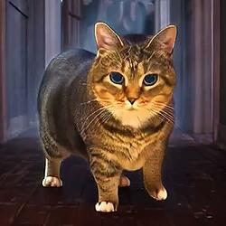 OIIA OIIA HORROR Spinning CAT