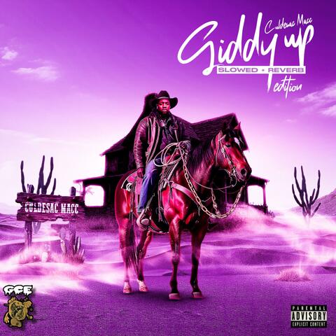 Giddy Up (Slowed & Reverb)