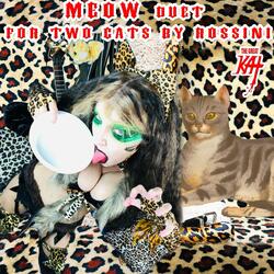 Meow Duet For Two Cats By Rossini