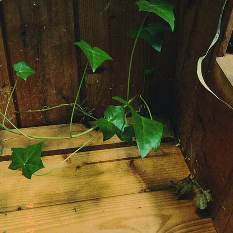 Where Did All The Time Go