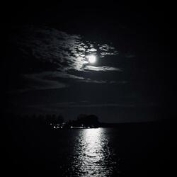 REMEMBER (Tribute  To dolores)