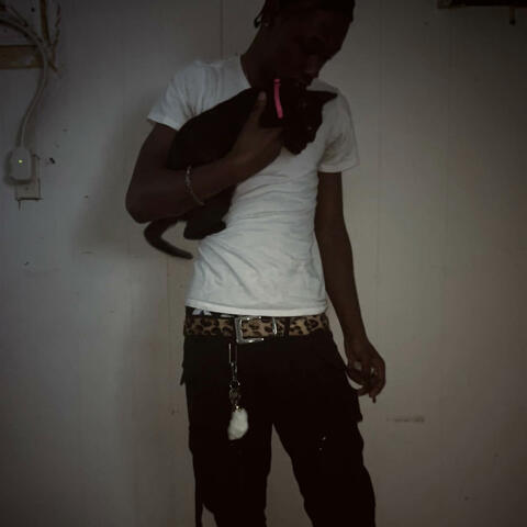 The Bag