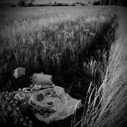 SUNDAY IN THE COUNTRYSIDE