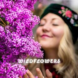 Wildflowers