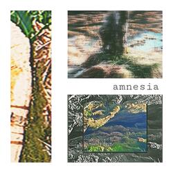 amnesia (feat. shivers)