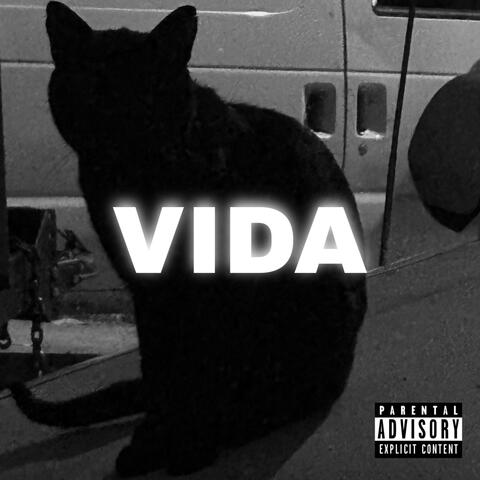 VIDA