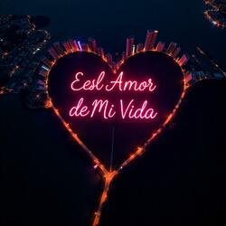 Eres El Amor De Mi Vida
