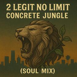 Concrete Jungle (soul mix)
