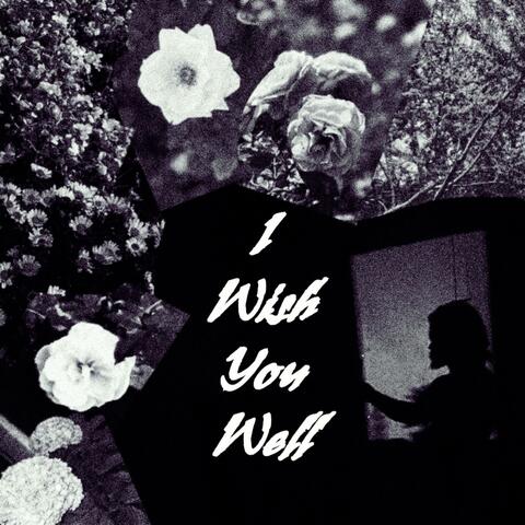 I Wish You Well