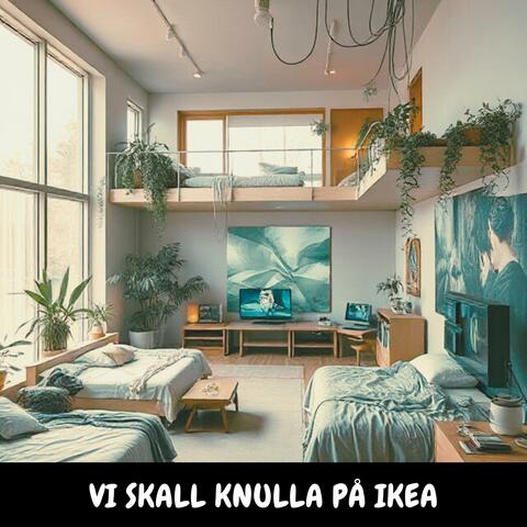 Vi skall knulla på Ikea