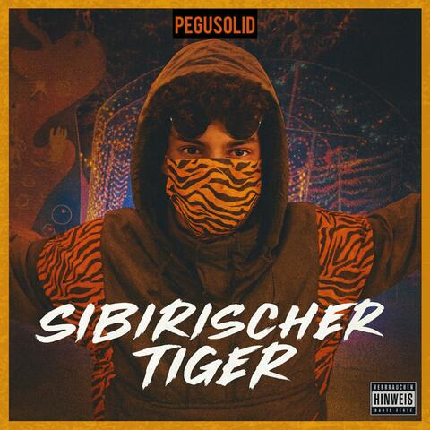 Sibirischer Tiger