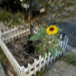 nothing lasts forever