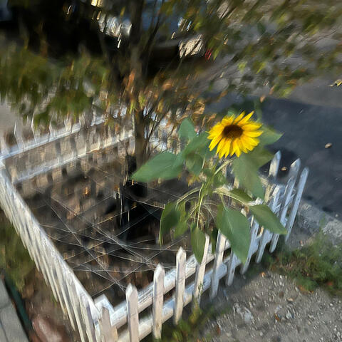 they don't know me !