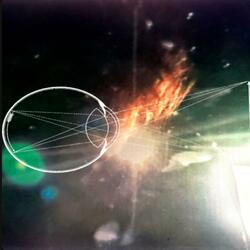 Non-factor & Incorrect