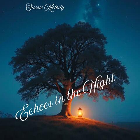 Echoes in the Night