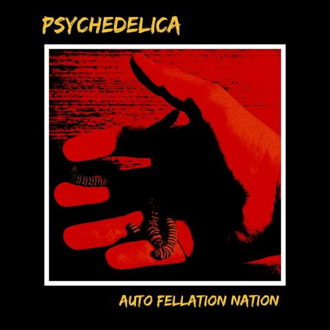 Auto Fellation Nation