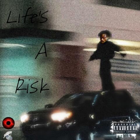 Life's A Risk