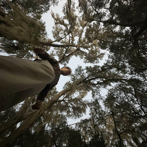 Didn't mean to shoot you down