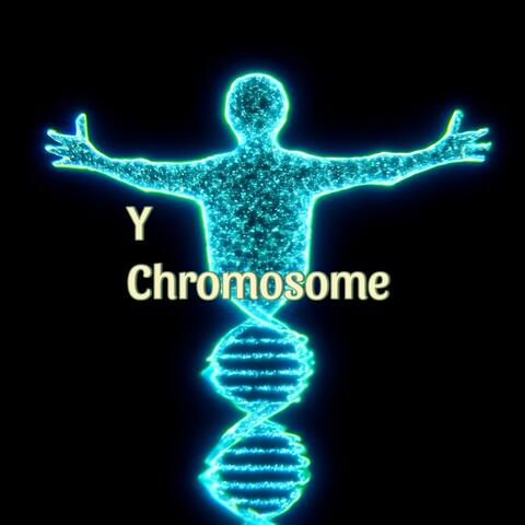 Y Chromosome
