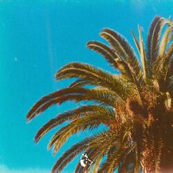 Live Laugh Love (Live)