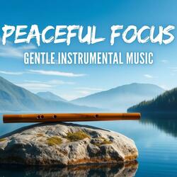 Echoes in the Light Focus Gentle Instruments